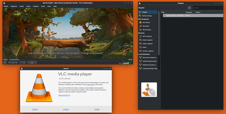 VLC Media Player Portable Interface 